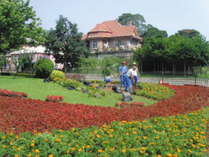 沙區(qū)多路段完成應(yīng)季花卉更新及蔬菜種植工作